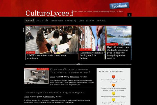 NewsSetter theme site design template sample