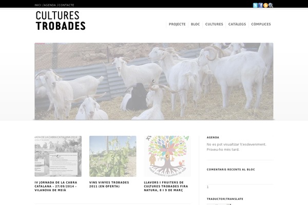 Corona theme site design template sample