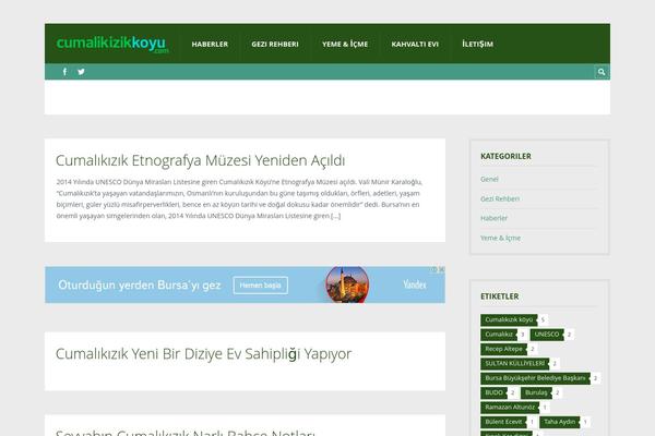 Truemag theme site design template sample