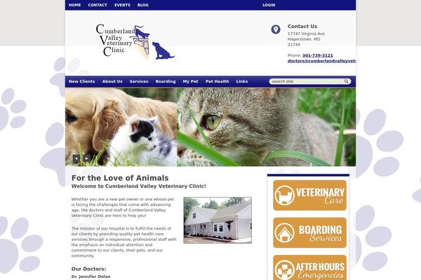 Webstersalient theme site design template sample