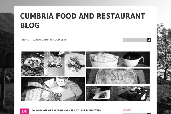 BoldR Lite theme site design template sample