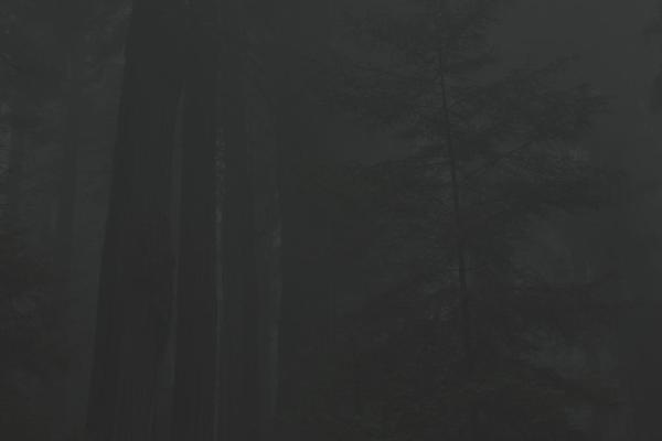 Idol theme site design template sample