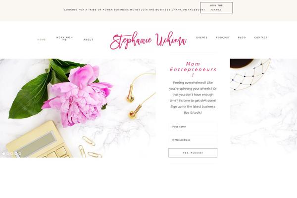 Site using Coming Soon Page & Maintenance Mode by SeedProd plugin