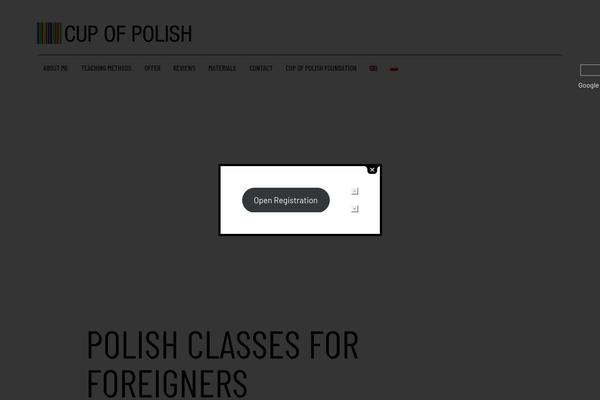 Site using Social Icons Widget by WPZOOM plugin
