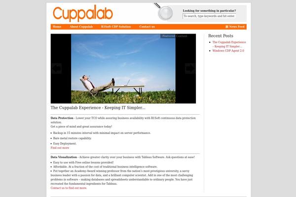 Revolution-30 theme site design template sample