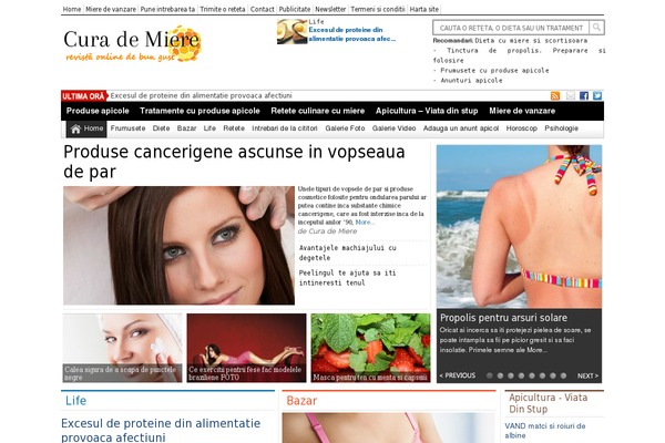 Digital-pro theme site design template sample