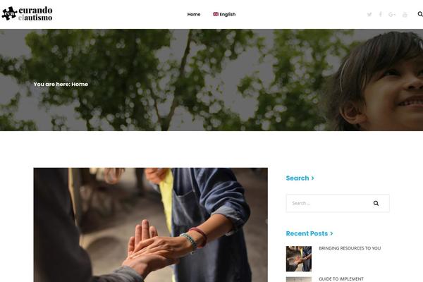 Site using PDF Embedder plugin