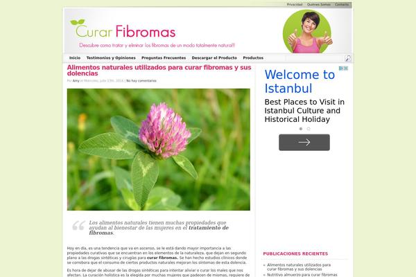 Socrates theme site design template sample