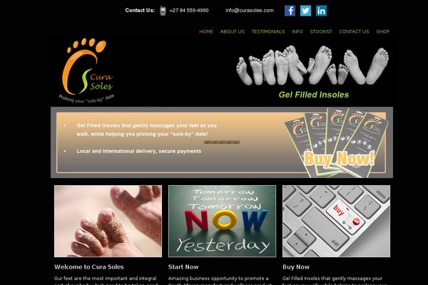 wp_businesstwo5-v1.1 theme websites examples