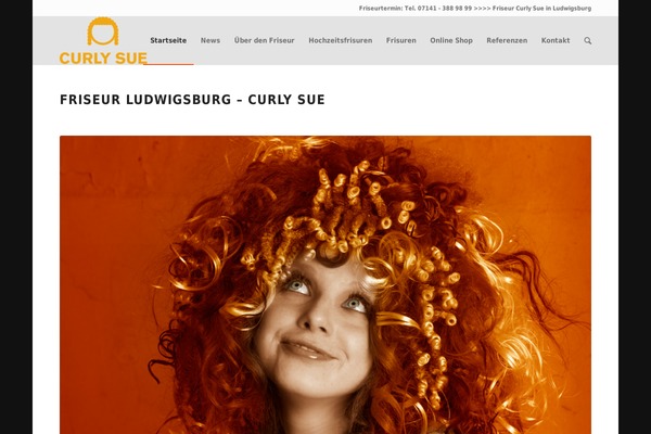 Site using All In One Schema.org Rich Snippets plugin