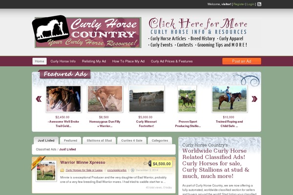 ClassiPress theme site design template sample