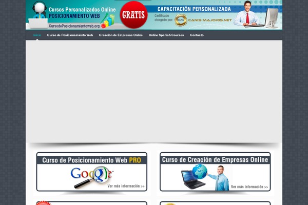 Pinpoint theme site design template sample