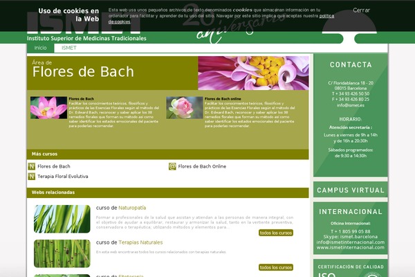 Ismet_new theme site design template sample