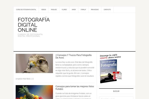 News Pro theme site design template sample