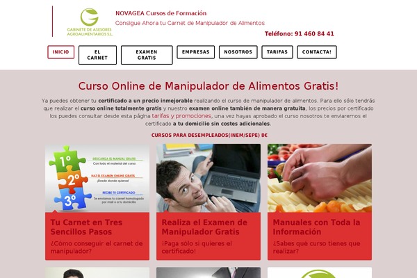 cursosdemanipuladores.com site used Wg_1.0.0
