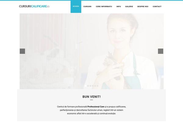 Site using Themify-ptb plugin