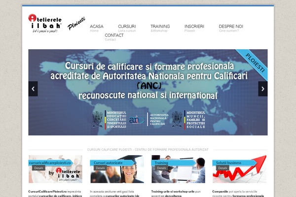 Cherry theme site design template sample