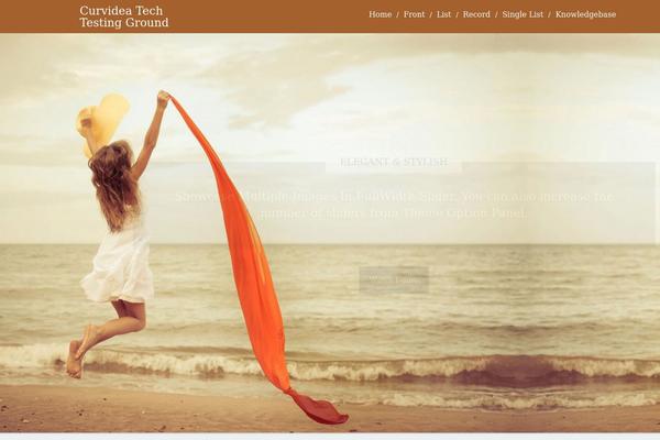 curvidea.com site used Startpointtheme