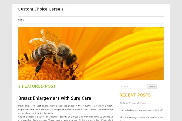 Tiny Forge theme site design template sample