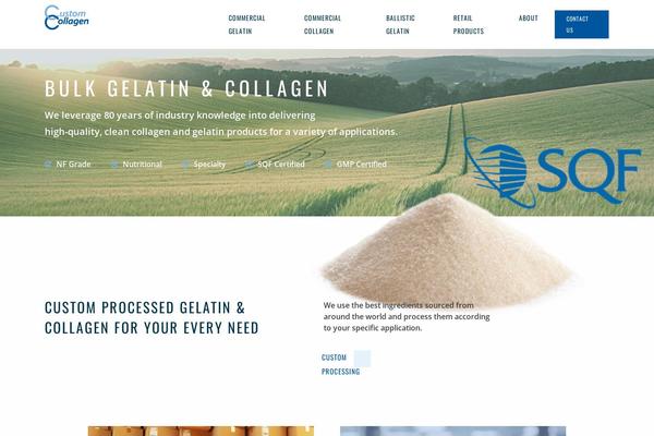 Site using Wp-image-zoooom-pro plugin