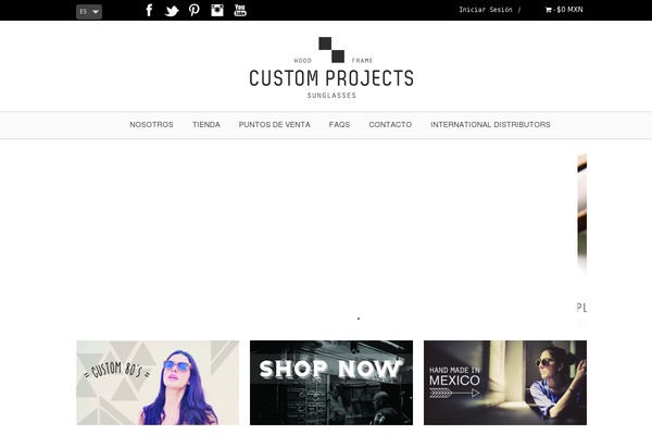 Parallax Pro theme site design template sample