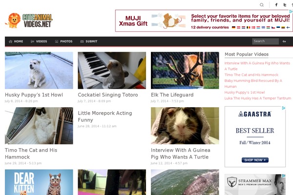 cuteanimalvideos.net site used Cav