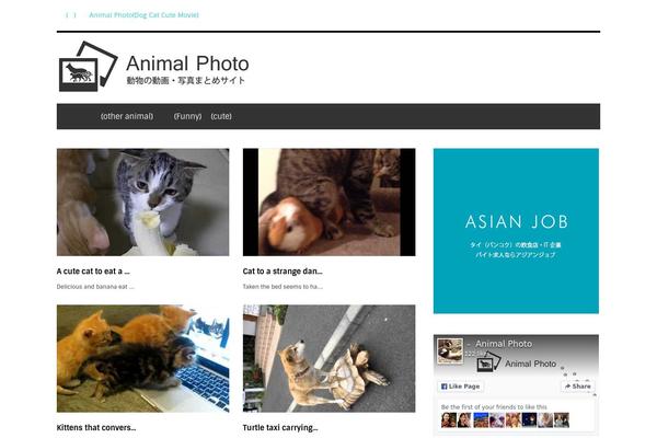 Apollo theme site design template sample