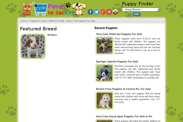 Site using Amzn plugin