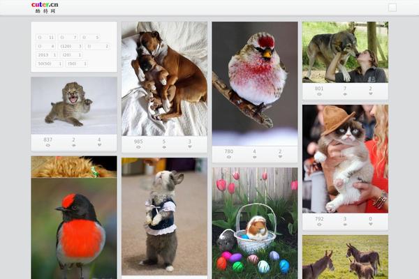 Iphoto theme site design template sample