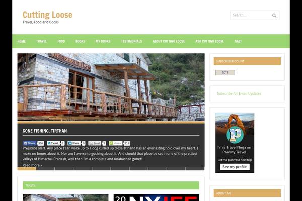 Zeedynamicpro theme site design template sample