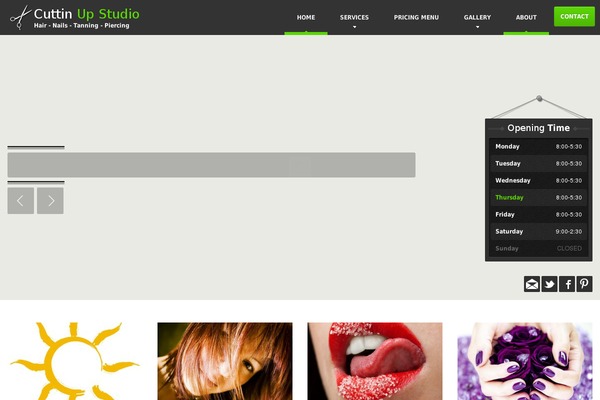HairPress theme site design template sample
