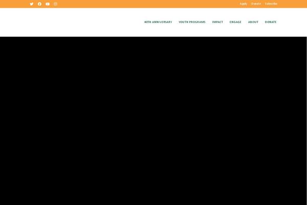 Site using Simple-youtube-responsive plugin