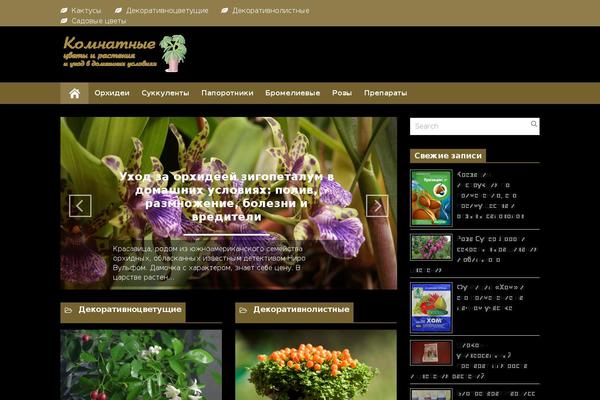 Discover theme site design template sample