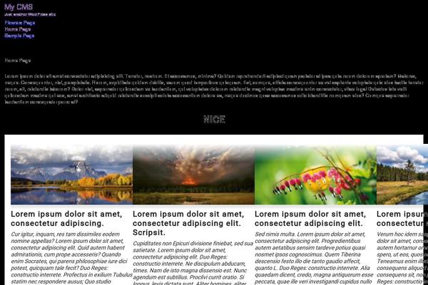 Neve-child theme site design template sample