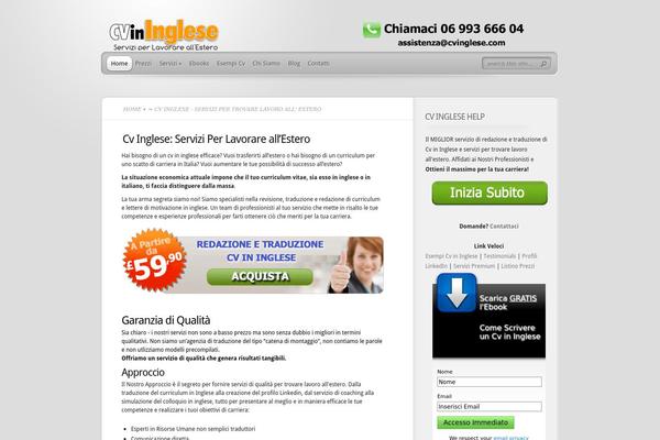 TheProfessional theme site design template sample