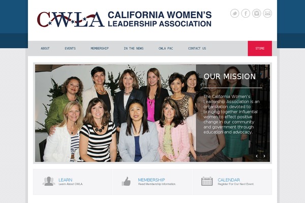 Politician theme site design template sample