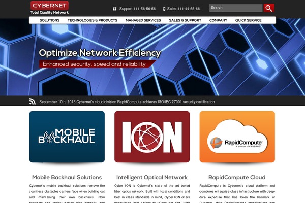 Cyber website example screenshot