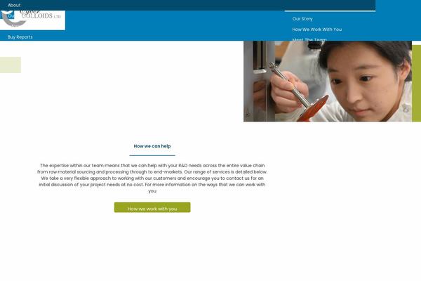 Site using Ecwid Shopping Cart plugin