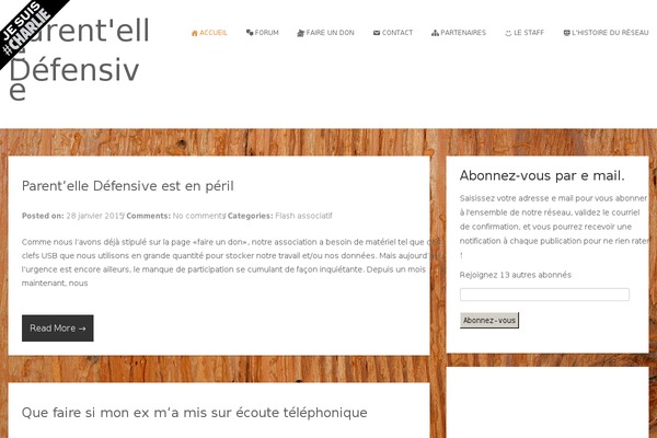 Nova Lite theme site design template sample