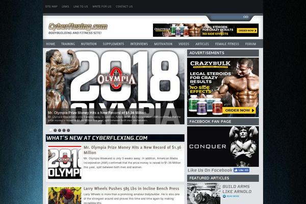 Site using SEO Auto Links & Related Posts plugin