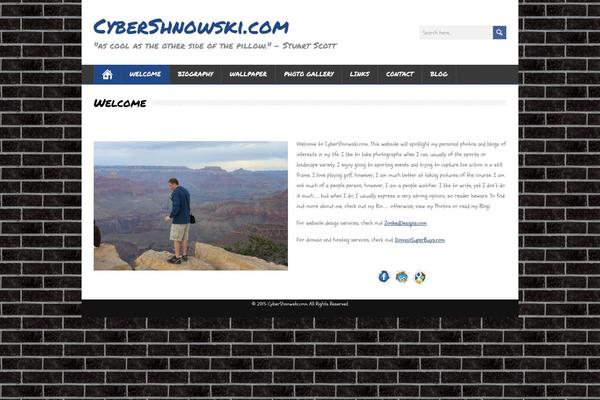 MineZine theme site design template sample
