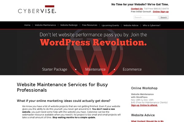 cybervise theme websites examples