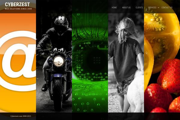 cyberzest.com site used Panaroma