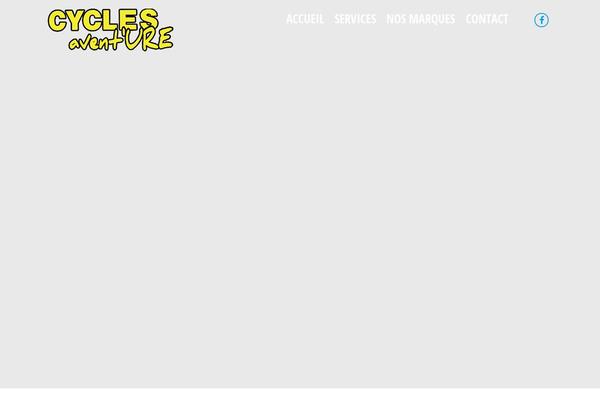 Site using Brave-popup-builder plugin