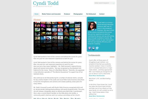 zindi theme site design template sample