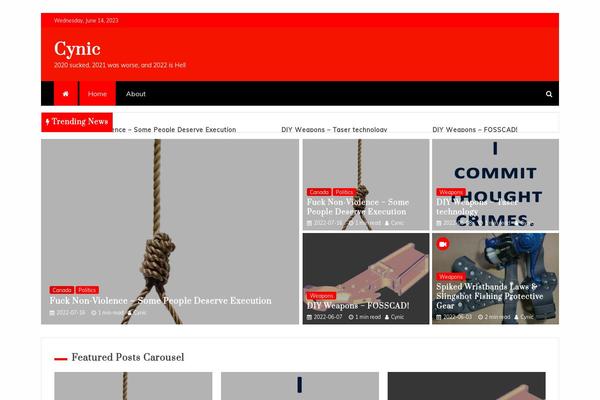Engage-mag theme site design template sample