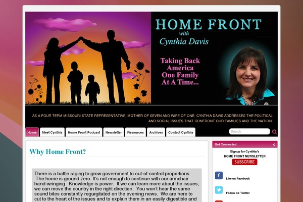 Ashe theme site design template sample