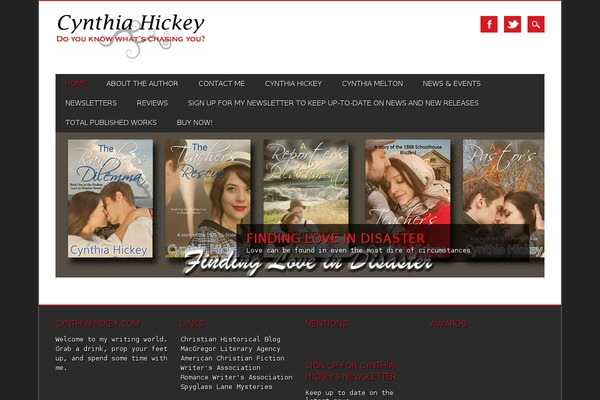 Magazino theme site design template sample