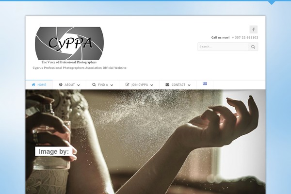 Site using Ajax WP Query Search Filter plugin