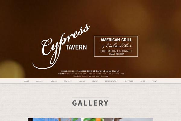 Scrn theme site design template sample